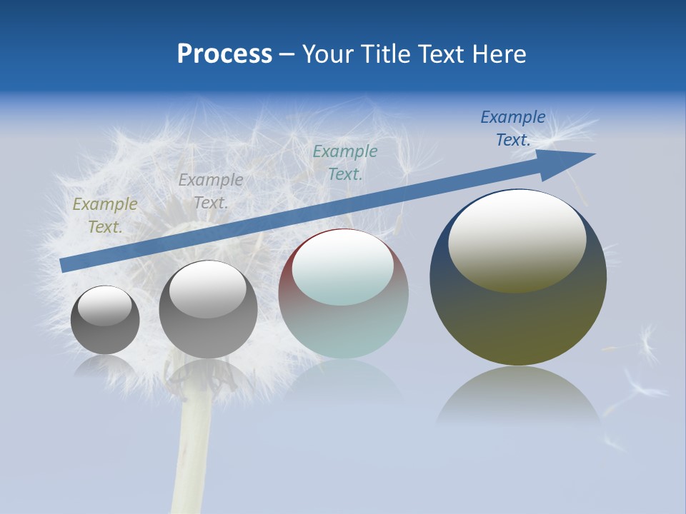 Sky Sunlight Seed PowerPoint Template