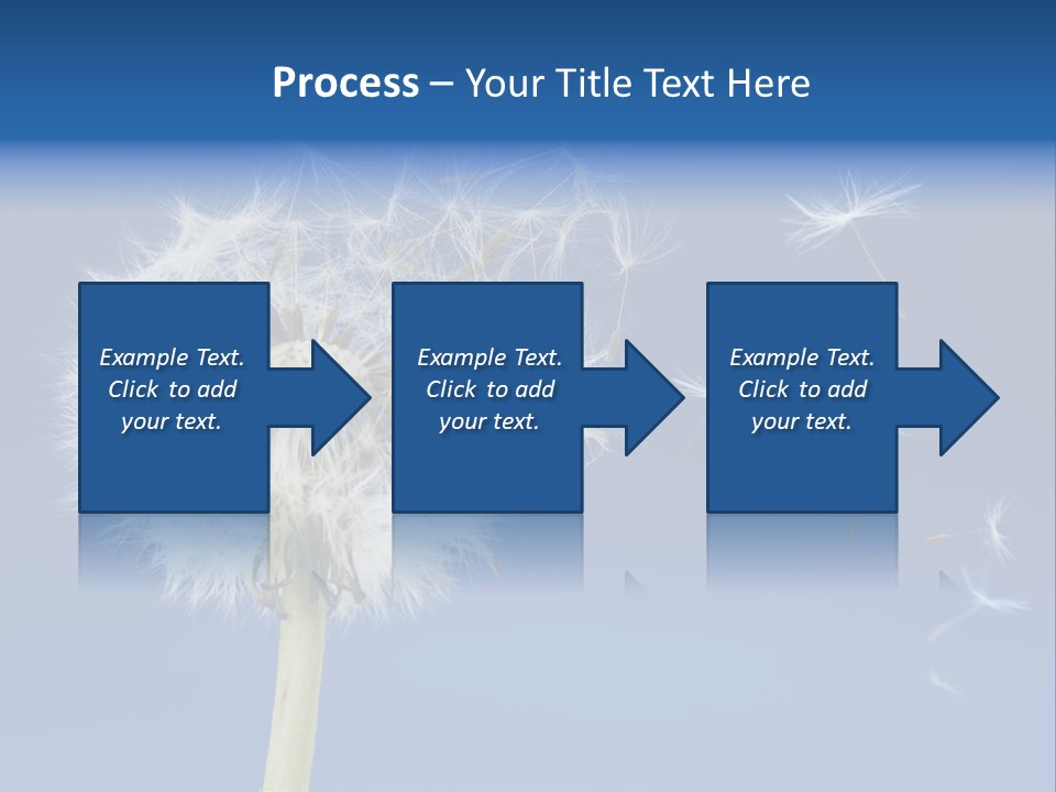 Sky Sunlight Seed PowerPoint Template