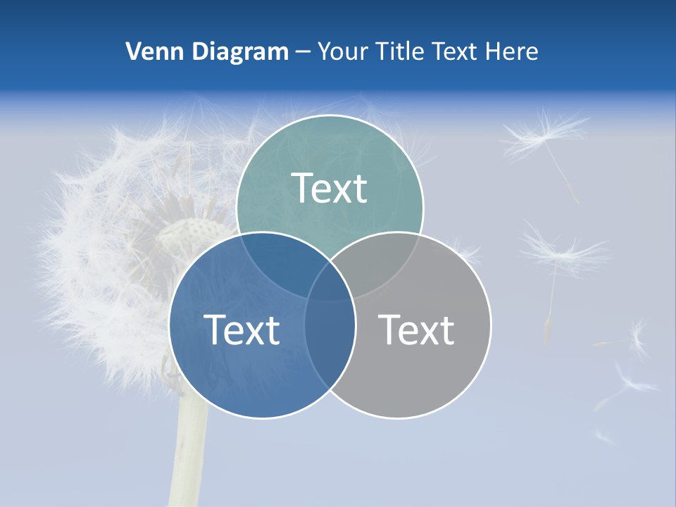 Sky Sunlight Seed PowerPoint Template