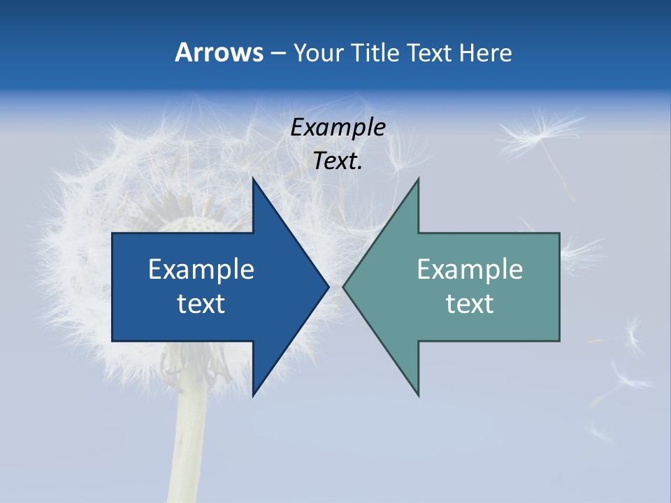Sky Sunlight Seed PowerPoint Template