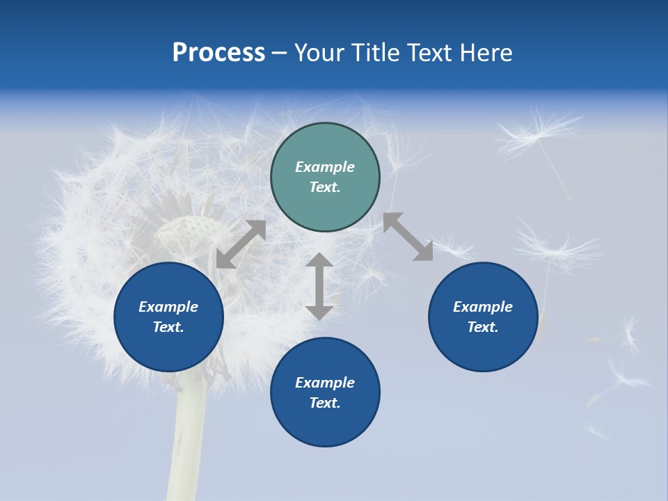Sky Sunlight Seed PowerPoint Template