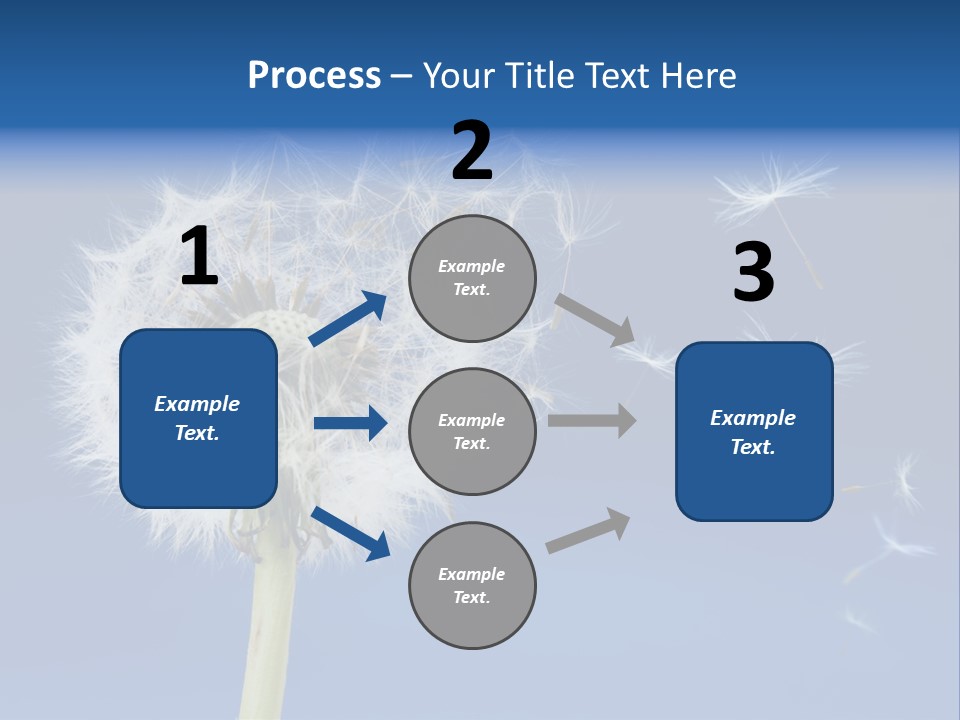 Sky Sunlight Seed PowerPoint Template