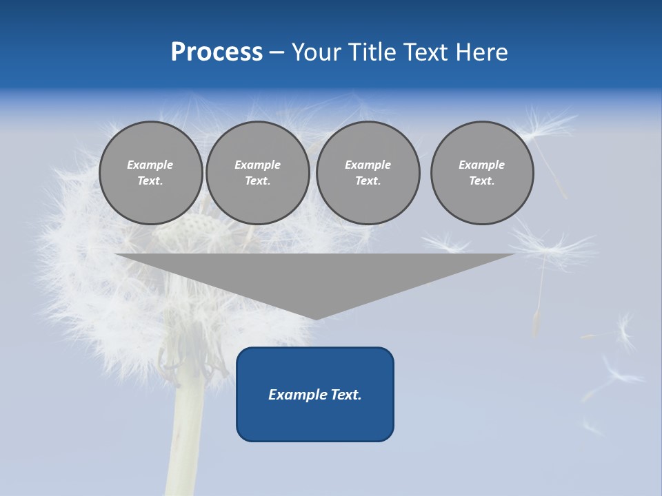 Sky Sunlight Seed PowerPoint Template