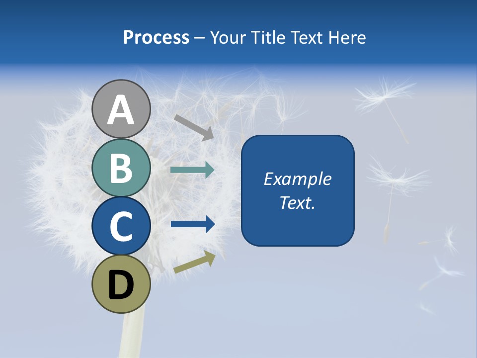 Sky Sunlight Seed PowerPoint Template
