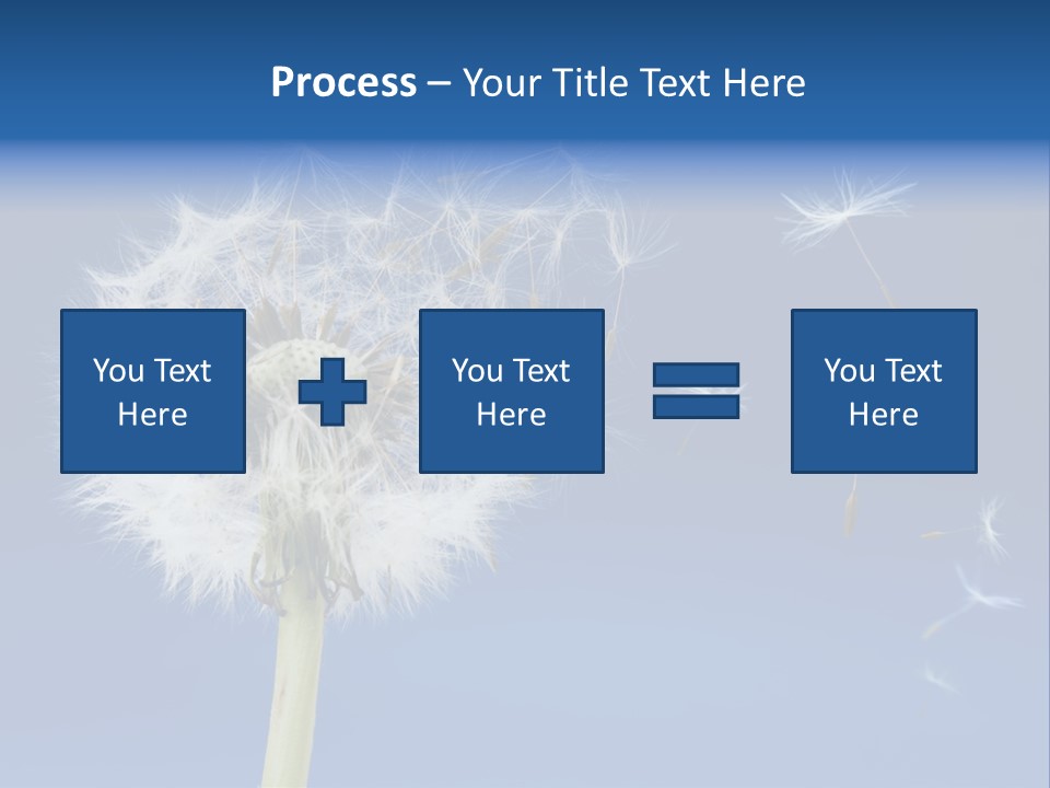 Sky Sunlight Seed PowerPoint Template
