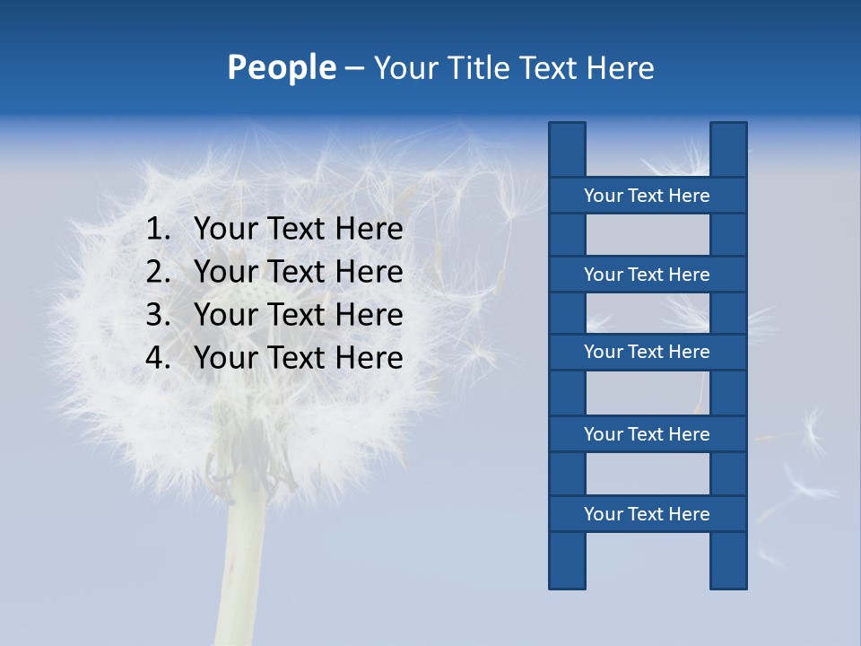 Sky Sunlight Seed PowerPoint Template