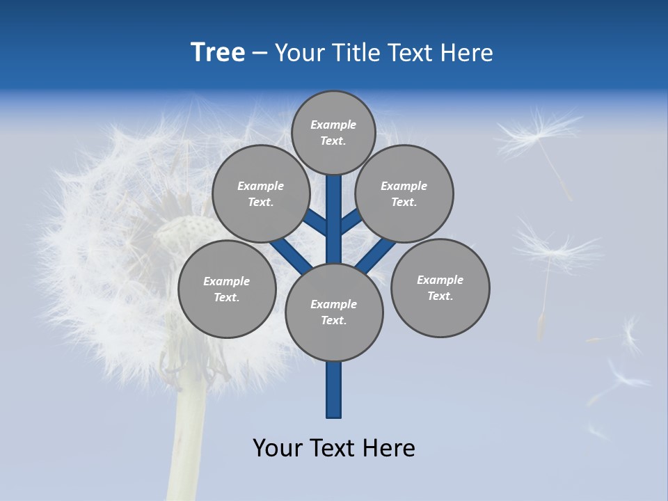 Sky Sunlight Seed PowerPoint Template