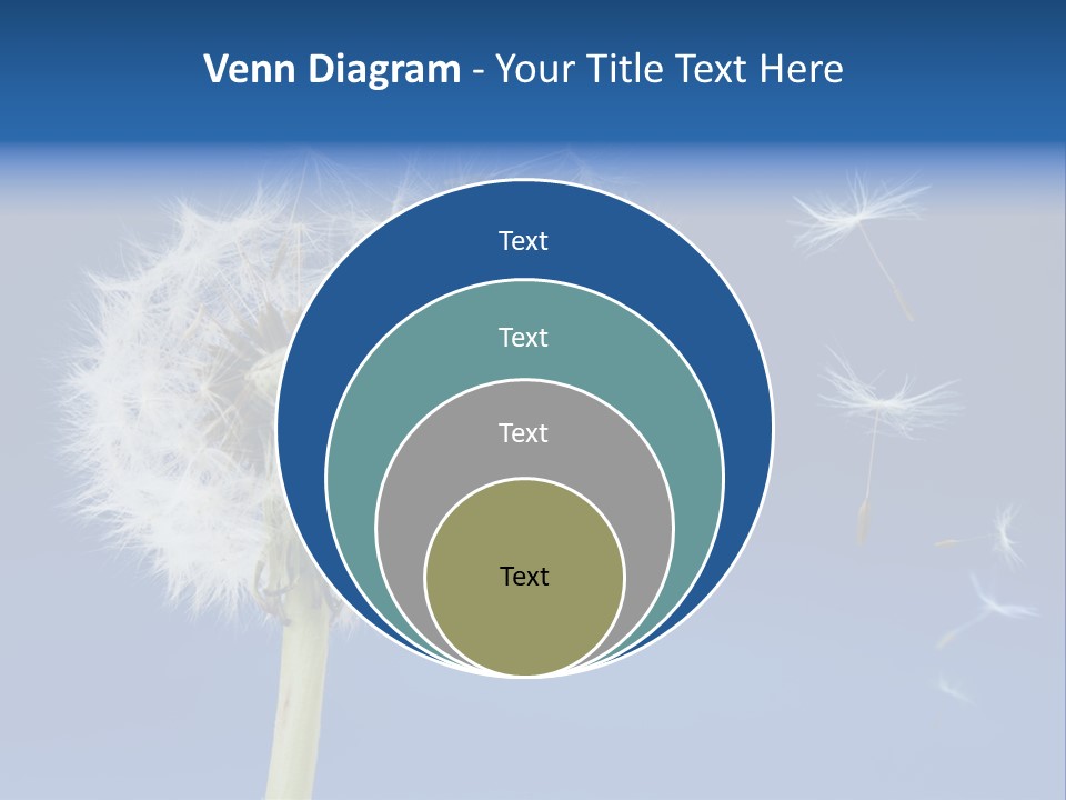 Sky Sunlight Seed PowerPoint Template