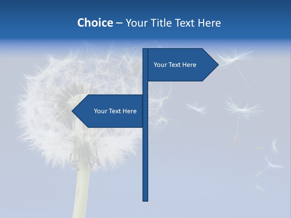 Sky Sunlight Seed PowerPoint Template