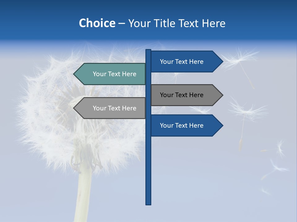 Sky Sunlight Seed PowerPoint Template