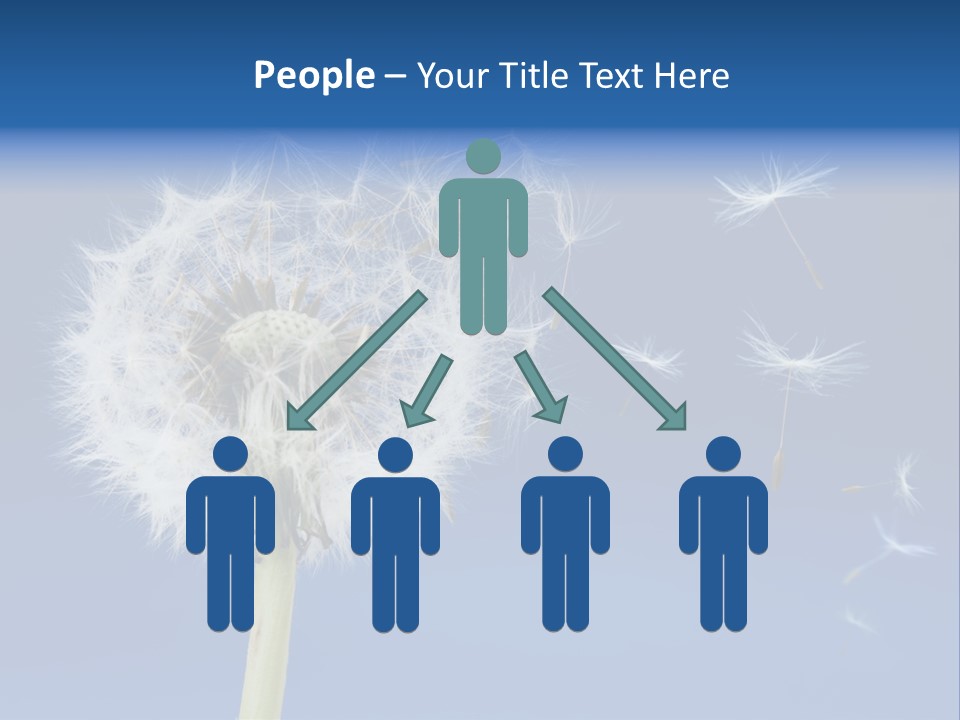 Sky Sunlight Seed PowerPoint Template