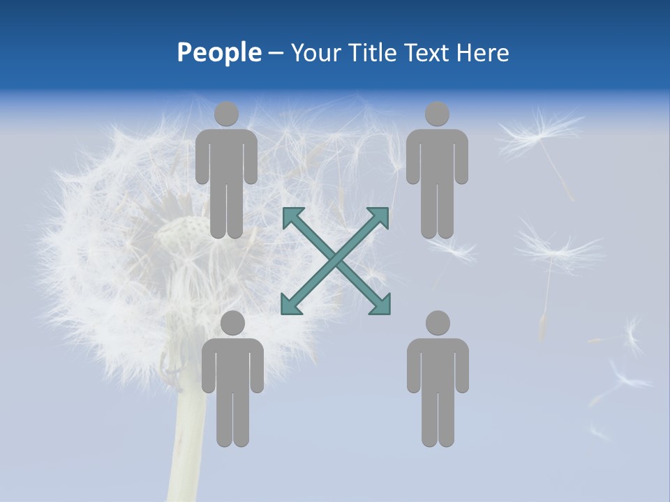 Sky Sunlight Seed PowerPoint Template