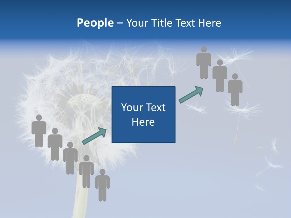 Sky Sunlight Seed PowerPoint Template