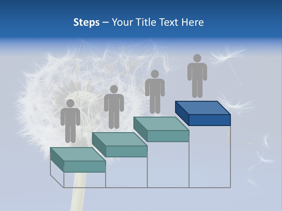 Sky Sunlight Seed PowerPoint Template