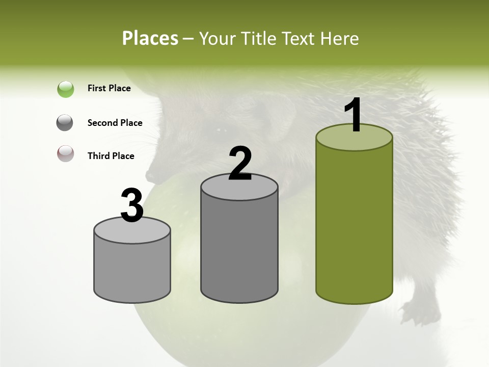 Paw Wild Young PowerPoint Template