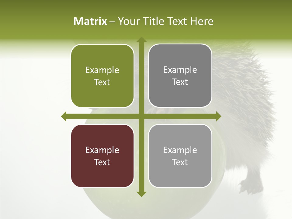 Paw Wild Young PowerPoint Template