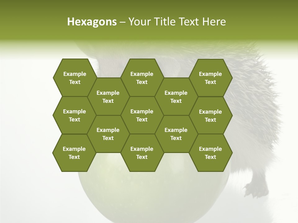 Paw Wild Young PowerPoint Template