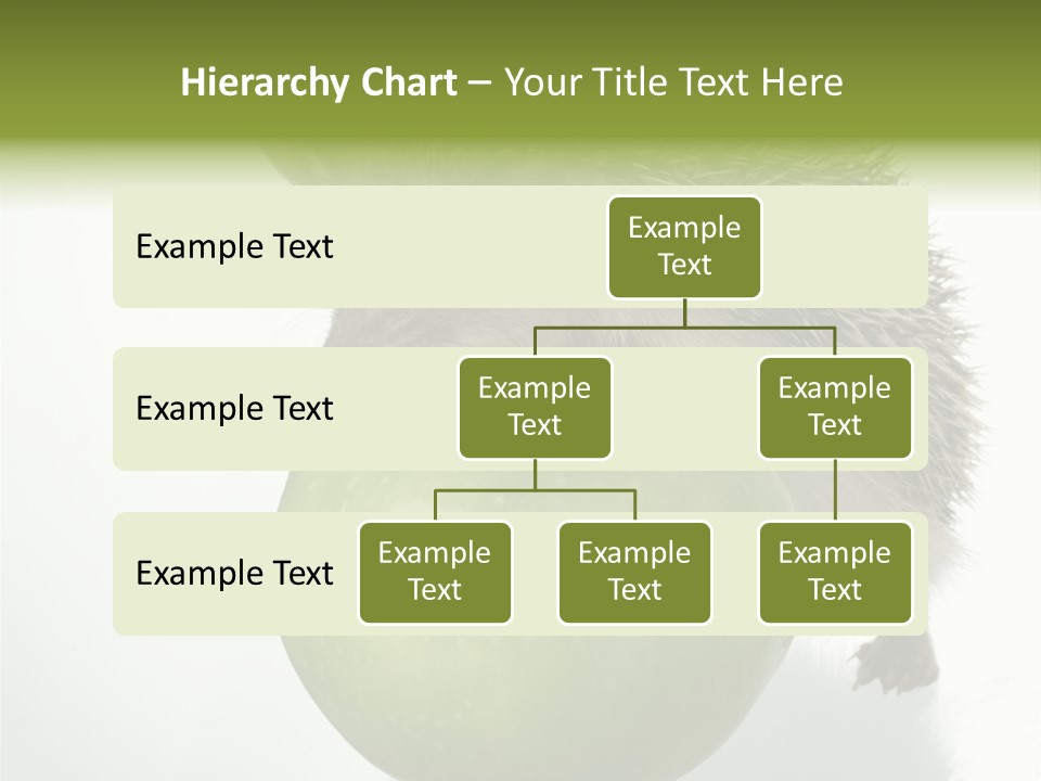 Paw Wild Young PowerPoint Template