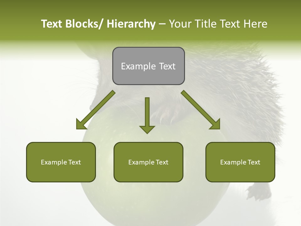 Paw Wild Young PowerPoint Template