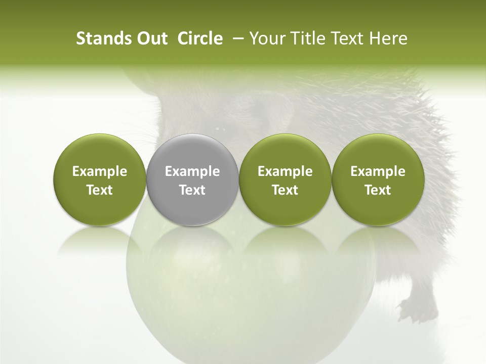 Paw Wild Young PowerPoint Template