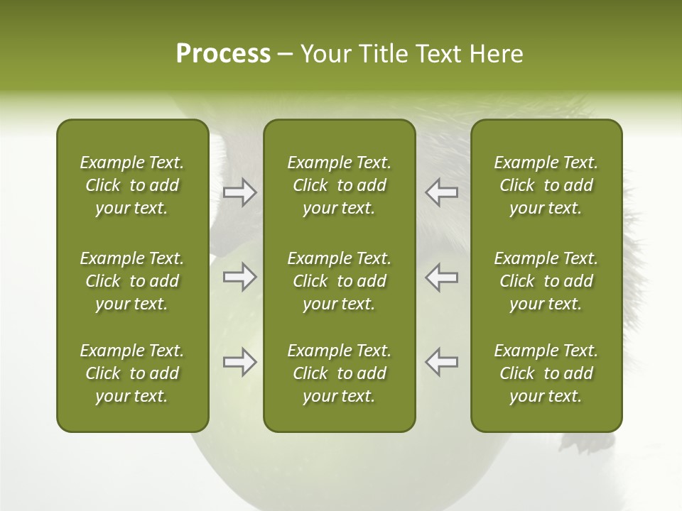 Paw Wild Young PowerPoint Template