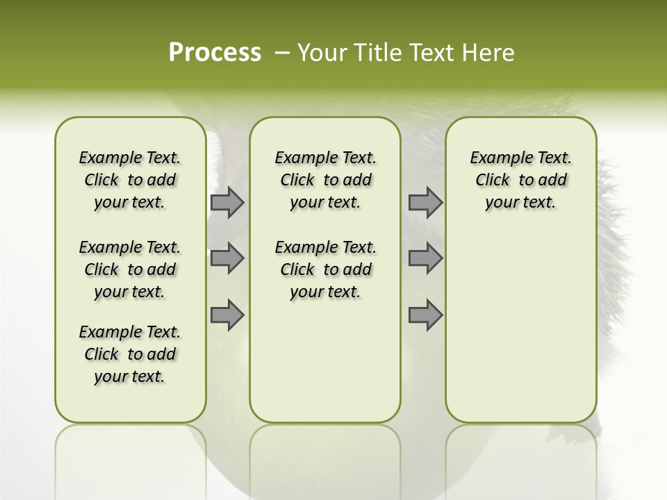 Paw Wild Young PowerPoint Template