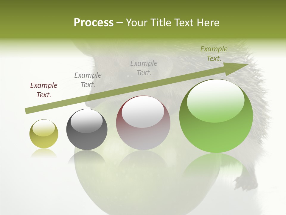 Paw Wild Young PowerPoint Template