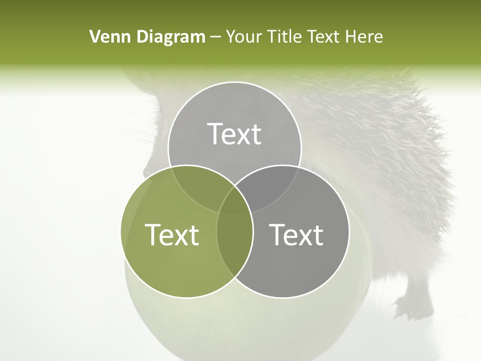 Paw Wild Young PowerPoint Template