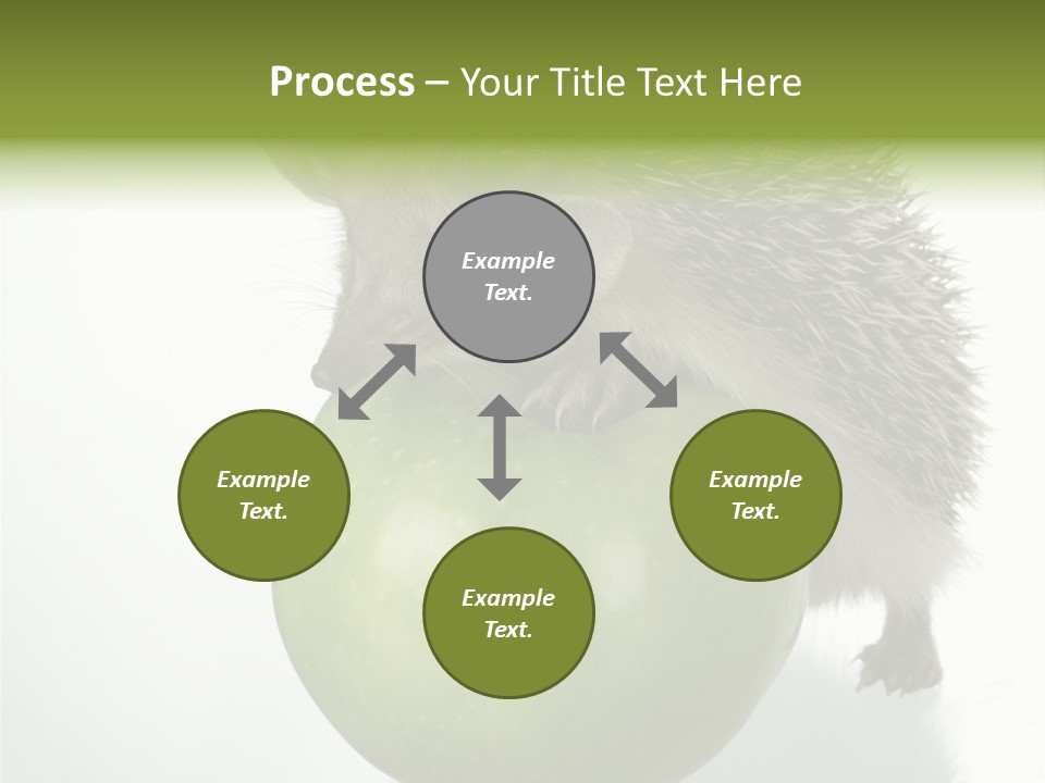 Paw Wild Young PowerPoint Template