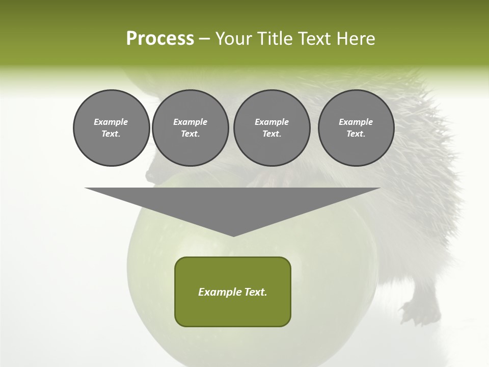 Paw Wild Young PowerPoint Template