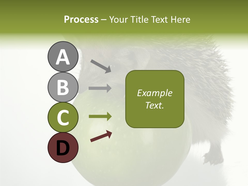 Paw Wild Young PowerPoint Template