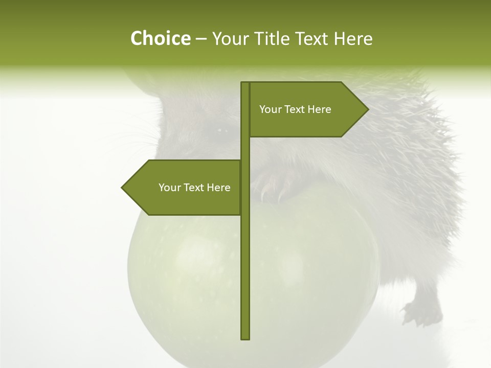 Paw Wild Young PowerPoint Template