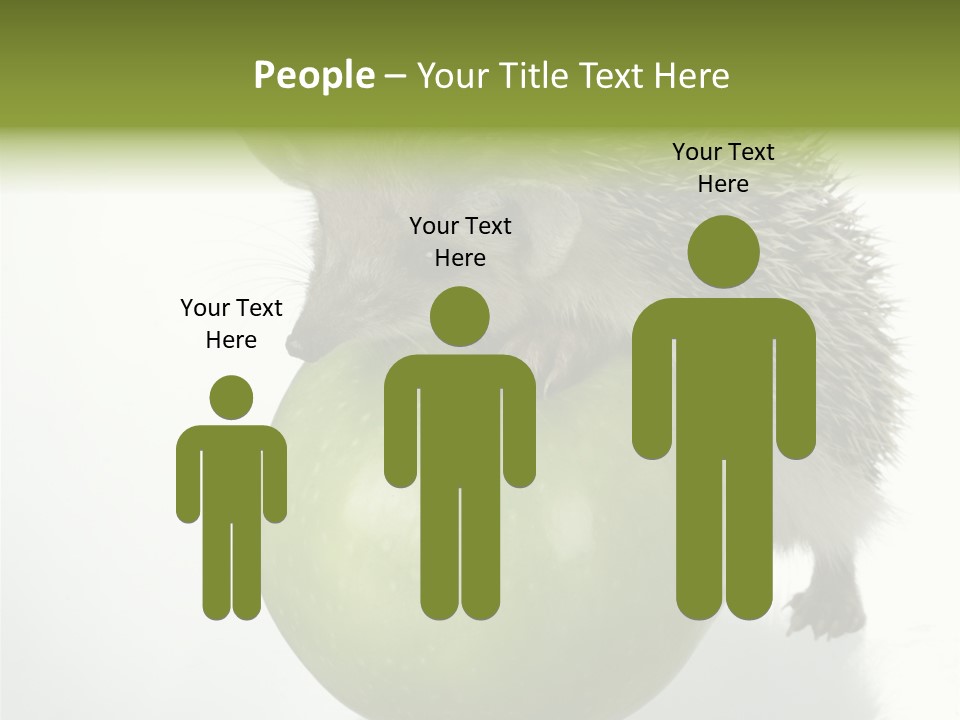 Paw Wild Young PowerPoint Template