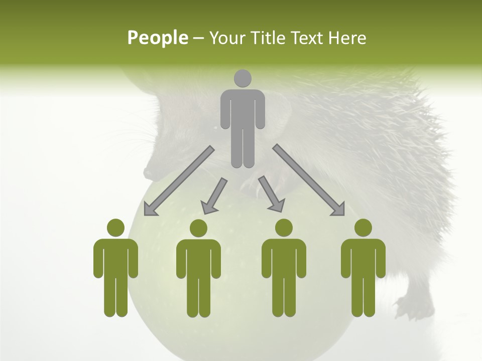 Paw Wild Young PowerPoint Template