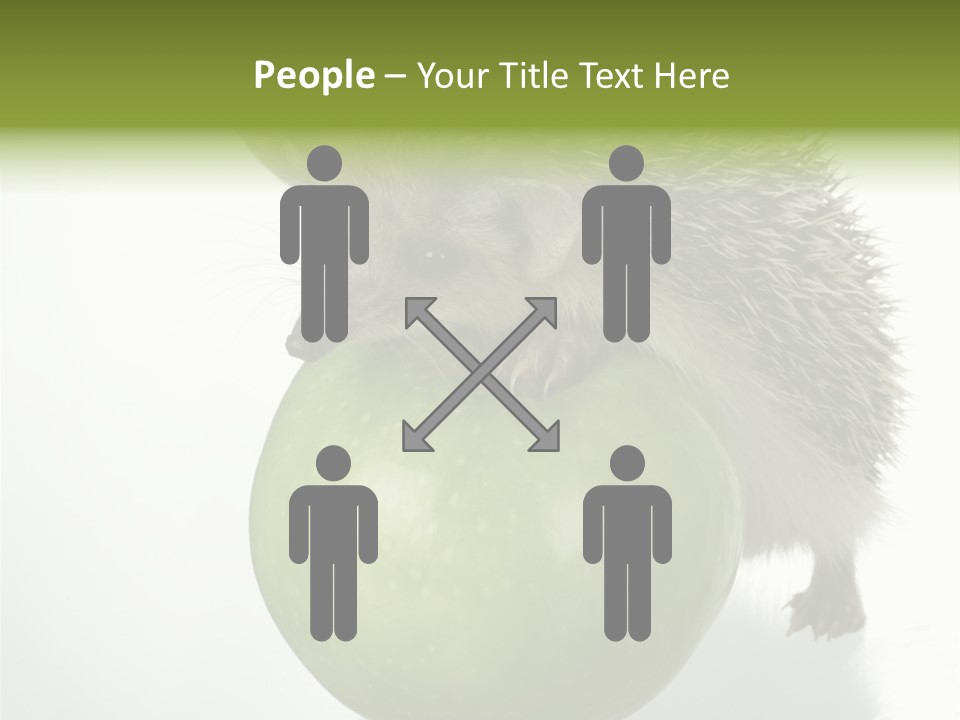 Paw Wild Young PowerPoint Template