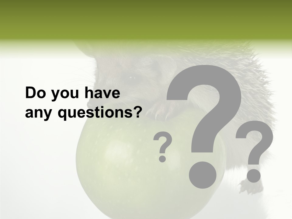 Paw Wild Young PowerPoint Template