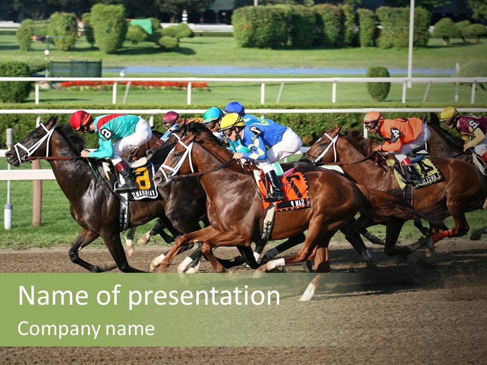 A Group Of Horses Racing Down A Race Track PowerPoint Template