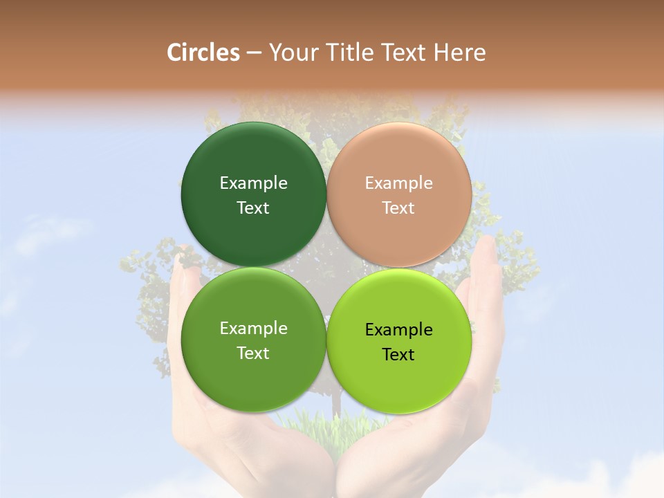 A Person Holding A Tree In Their Hands PowerPoint Template