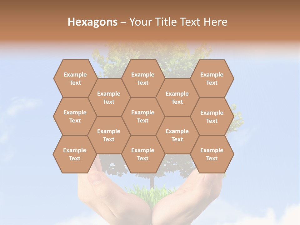 A Person Holding A Tree In Their Hands PowerPoint Template