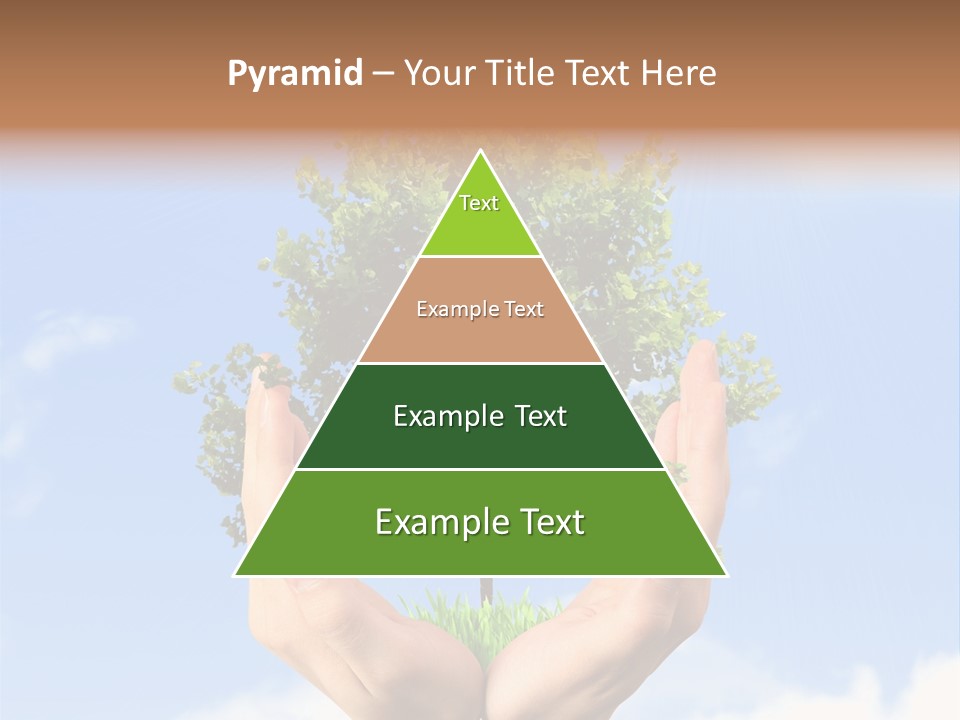 A Person Holding A Tree In Their Hands PowerPoint Template