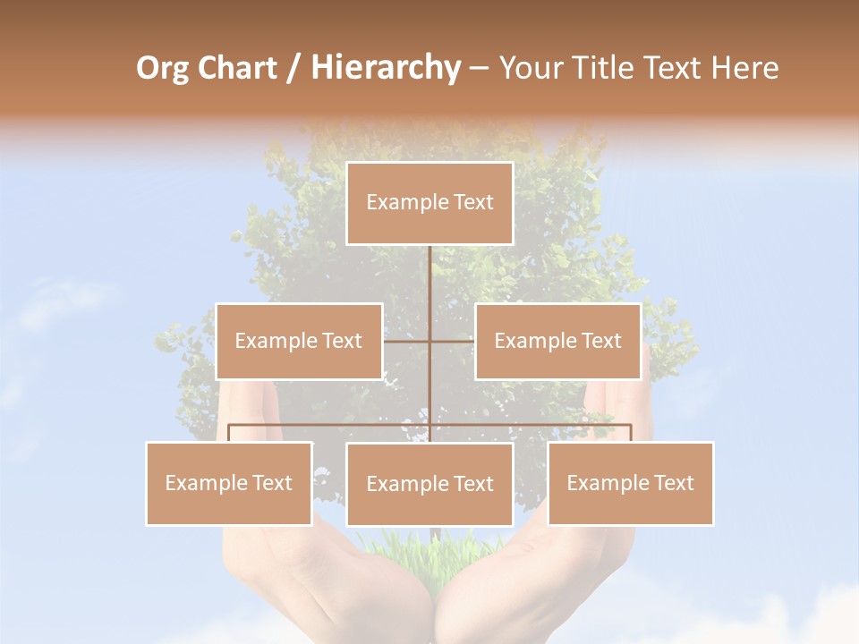 A Person Holding A Tree In Their Hands PowerPoint Template