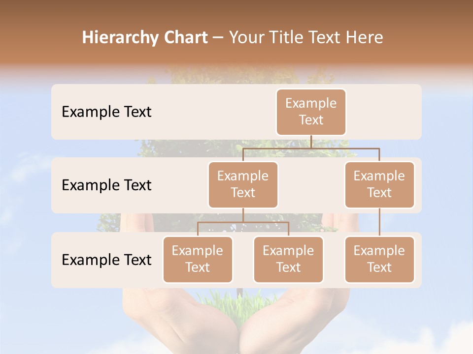 A Person Holding A Tree In Their Hands PowerPoint Template
