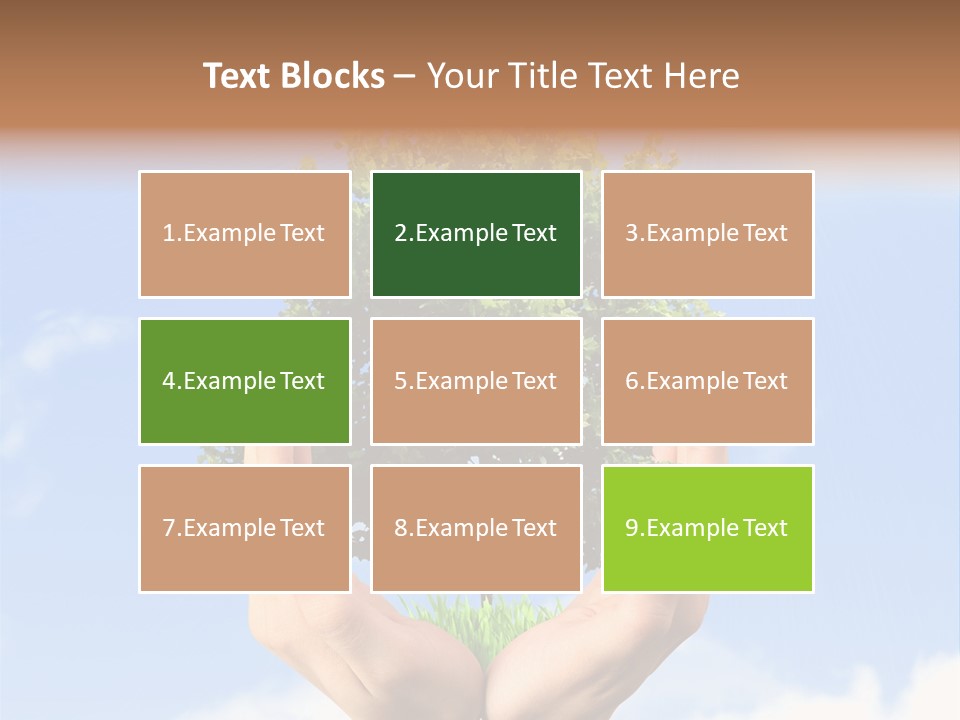 A Person Holding A Tree In Their Hands PowerPoint Template