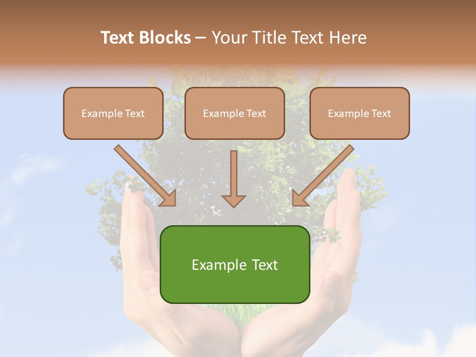 A Person Holding A Tree In Their Hands PowerPoint Template