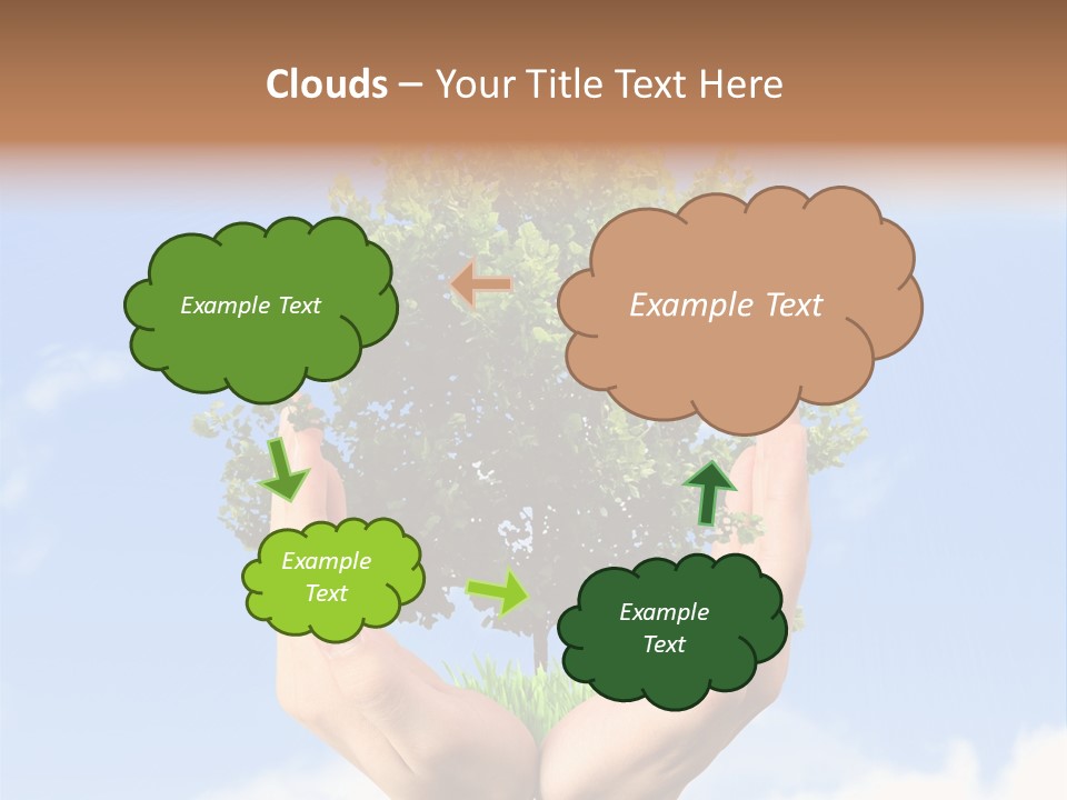 A Person Holding A Tree In Their Hands PowerPoint Template