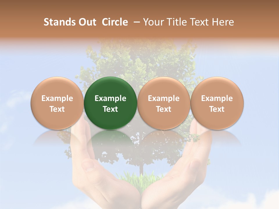 A Person Holding A Tree In Their Hands PowerPoint Template