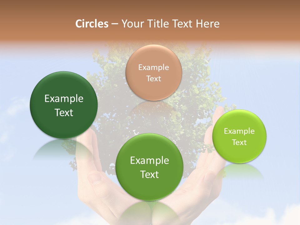 A Person Holding A Tree In Their Hands PowerPoint Template
