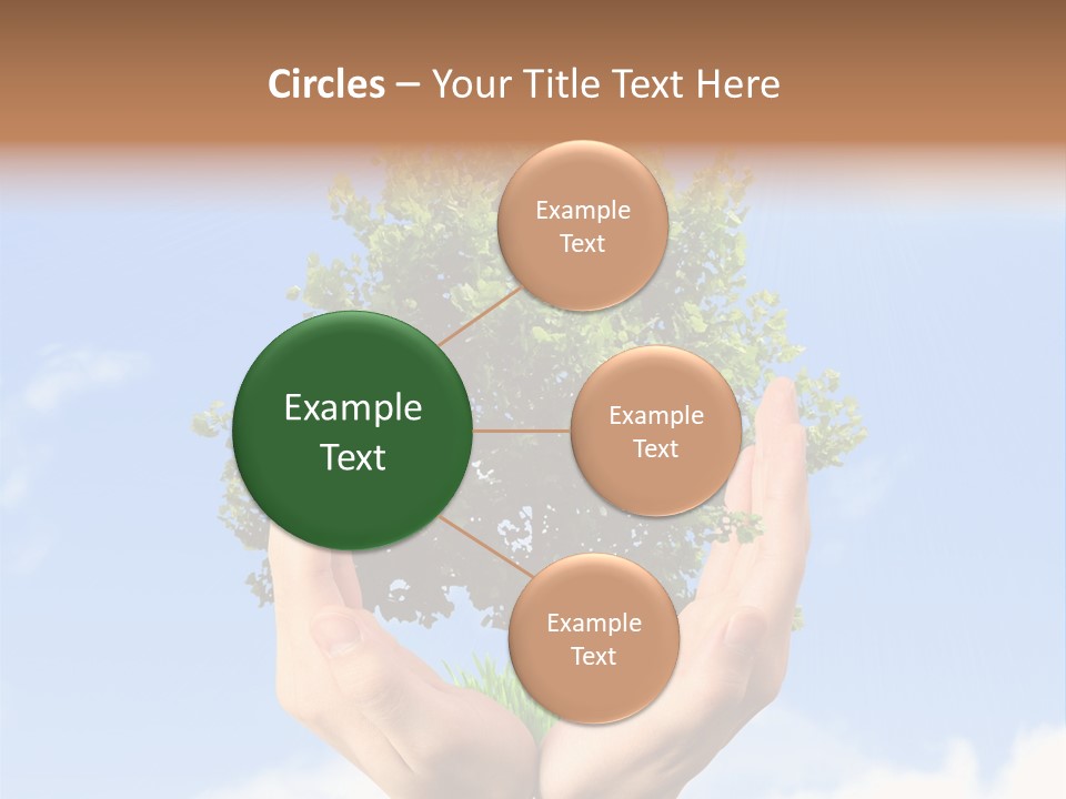 A Person Holding A Tree In Their Hands PowerPoint Template