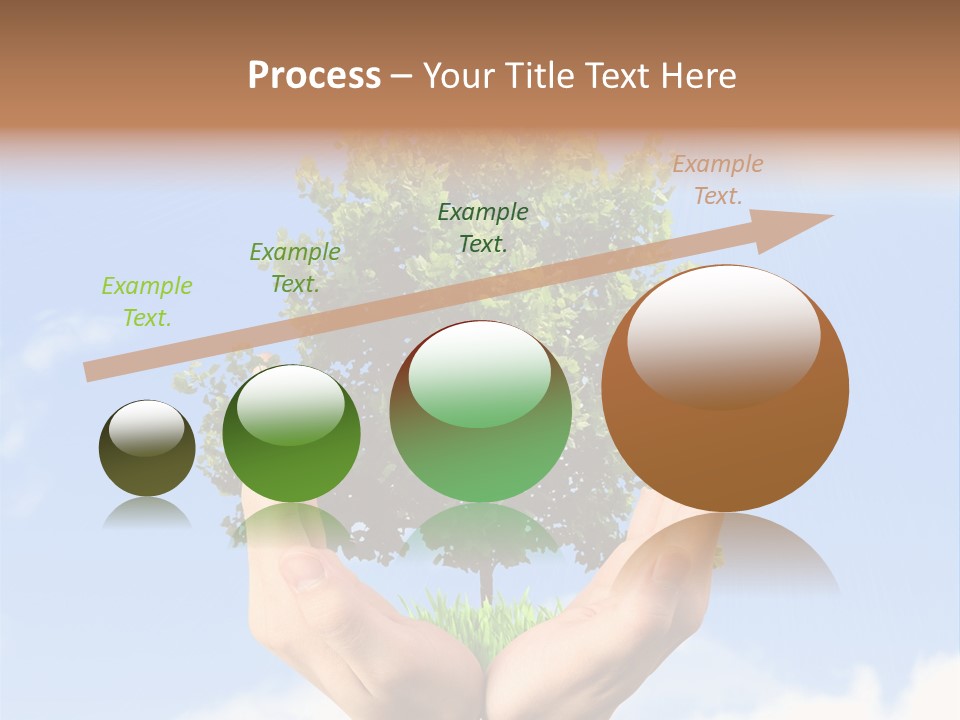 A Person Holding A Tree In Their Hands PowerPoint Template