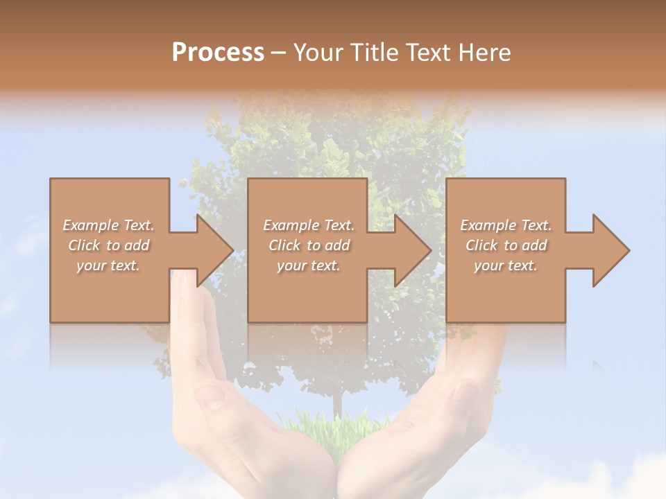 A Person Holding A Tree In Their Hands PowerPoint Template